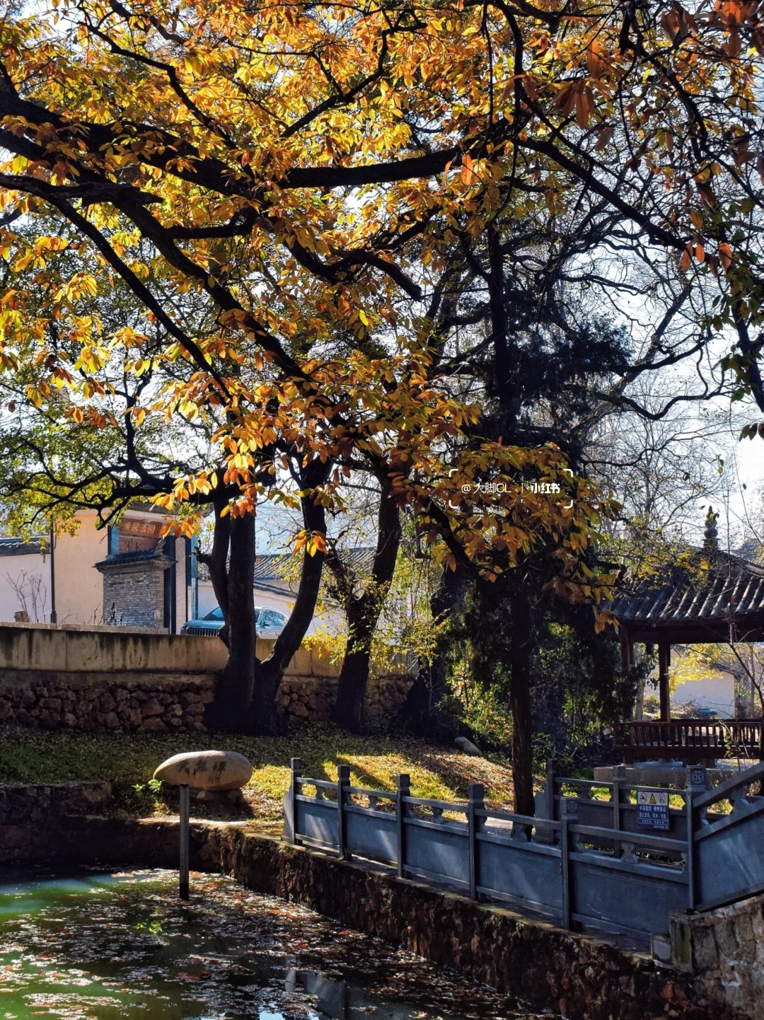 我找到了大理彩虹森林❗正是橙黄橘绿时_8_大脚CL_云南-来自52tours 我爱旅游网